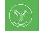 Antibody Platform