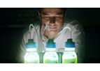 Precision Photosynthesis