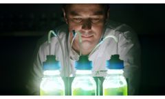 Precision Photosynthesis