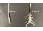 Kelp Blue - Model Stimplus+ - Seaweed Biostimulant