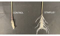 Kelp Blue - Model Stimplus+ - Seaweed Biostimulant