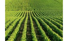 GrowGreen - Model AminoKelp Premium - Organic Microbial Fertiliser