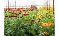 GrowGreen - Model Microbe Plus Kelp Premium - Organic Fertiliser