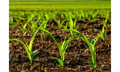 GrowGreen - Model Amino Kelp - Liquid Fertiliser
