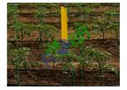 FLORA - Yellow Sticky Trap Card With Grid 25cm×40cm