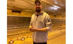 Monitoring Poultry