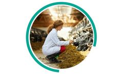 Water distribution systems for Livestock Industry