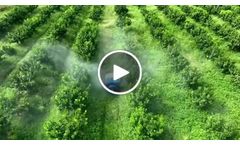Agricultural Robot for Citrus