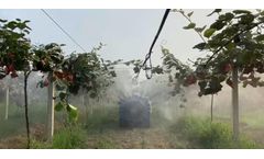 Agricultural Robot for Kiwi