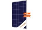 Futuresolar - Model 260w-290w - 60 Cell Poly Polycrystalline Monocrystalline Silicon Solar Panels