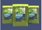 Nerea