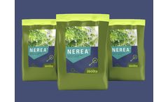 Nerea