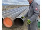 A Traditional Resource Poised for Resurgence