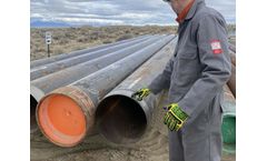 A Traditional Resource Poised for Resurgence