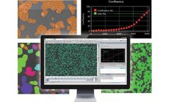 Image Analysis Software