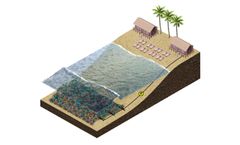 The Digital Reef