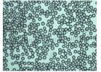 Applied Physics - Model Dri-Cal - Particle Size Standards Beads