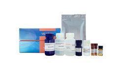 Yeasen - Model 36701ES59 - UltraNuclease ELISA Kit
