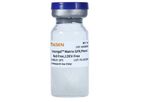 Ceturegel - Model 40186 - Basement Membrane Matrix