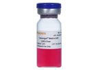 Ceturegel - Model 40185ES - Basement Membrane Matrix