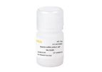 Yeasen - Model MW:36000~50000 - Dextran Sulfate Sodium Salt (DSS)