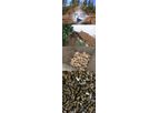 HM3 - Biocoal Technology - Biocoal from Forest Waste