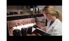 AlgaStar.com - Video