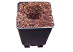 HortGrow - Coco Coir Grow Blocks for Rubus