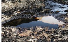 Solutions for Large Scale Bioremediation