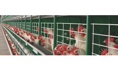Model MEC-W - Pre-Enriched Cages for Layers