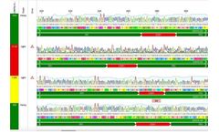 Geneious Biologics - Antibody Discovery Software
