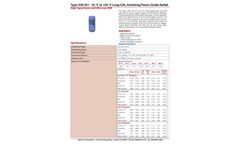 Model Type 300/301 - High Capacitance and Ultra-Low ESR - Brochure