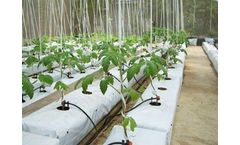 Coco Peat Grow Bags