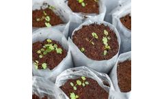 High EC Coco Peat
