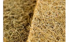 Coco Fibre