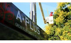 Tree Pruning & Trimming Service