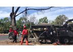 Tree Removal Service