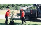 Tree Planting, Relocation & Transplanting Service