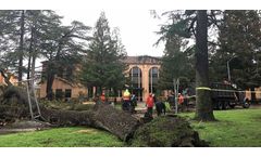 24-Hour Emergency Tree Service