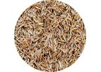 Source Green - Agwaste
