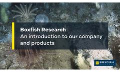 Boxfish Research - Get to Know Us! - Video