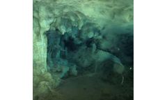 Boxfish - Photogrammetry