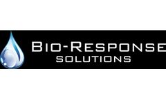 Aquamation - An Eco-Friendly Alternative to Flame Cremation and Burial