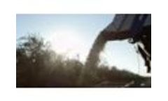 Olive Oil Production in California - Video