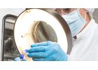 Micromolding Services