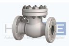 Hubluxe - Swing Check Valve
