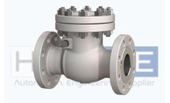 Hubluxe - Swing Check Valve