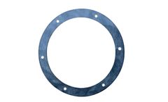 BinMaster - Model 280-0004 - Diaphragm Ring Gasket
