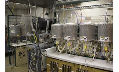 Solid Oxide Fuel Cells (SOFC)