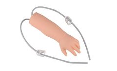 Pro-Health - Model PH12-005 - Pediatric IV Arm for Venipuncture & Phlebotomy Training